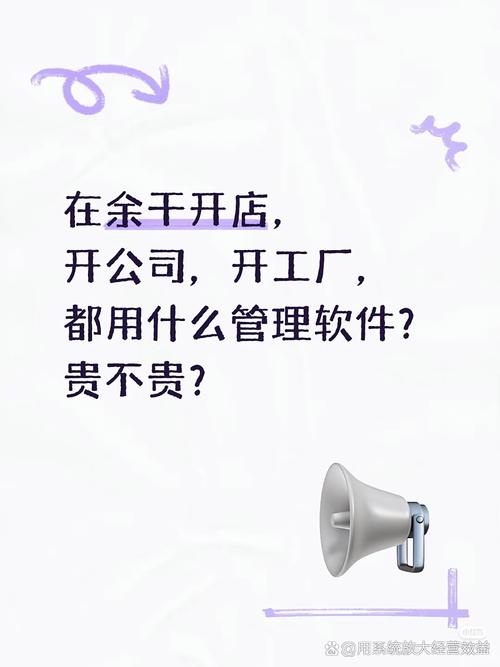 从需求洞察到系统落地 进销存与财务软件的开发实践